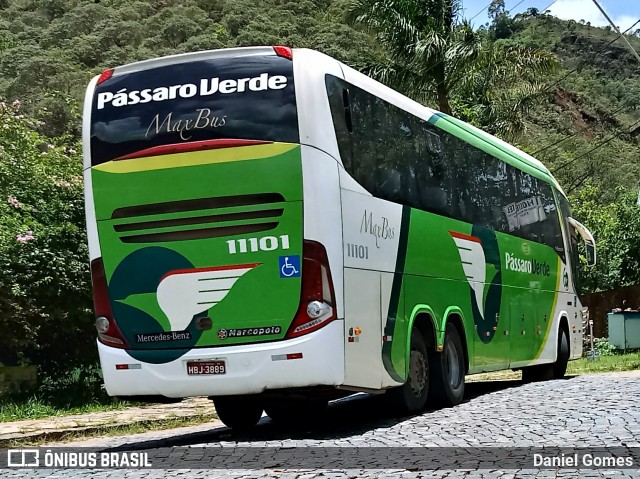 Pássaro Verde 11101 na cidade de Ouro Preto, Minas Gerais, Brasil, por Daniel Gomes. Número da foto: #6423730.