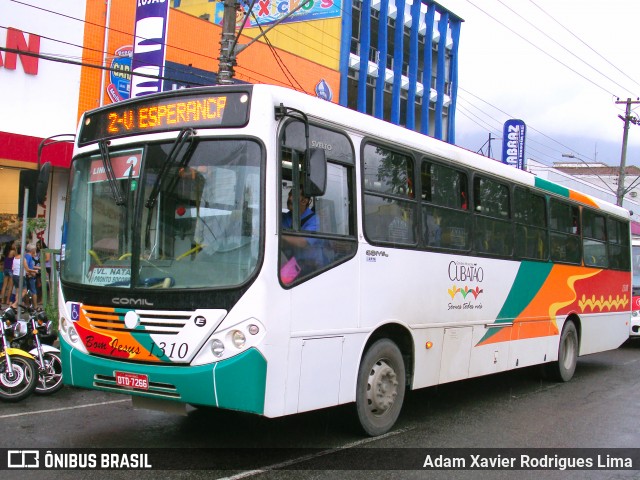 Viação Bom Jesus > VTL - Viação Trans Líder 1310e na cidade de Cubatão, São Paulo, Brasil, por Adam Xavier Rodrigues Lima. ID da foto: 6425133.