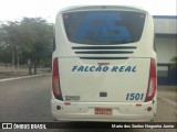 Falcão Real 1501 na cidade de Piritiba, Bahia, Brasil, por Mario dos Santos Nogueira Junior. Número da foto: #6425412.