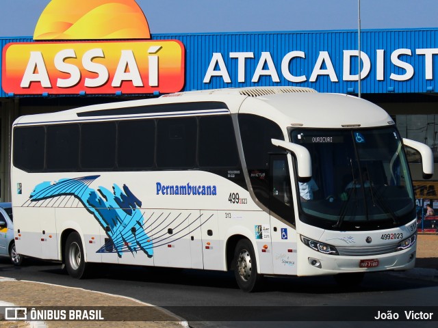 Viação Pernambucana Transporte e Turismo 313 na cidade de Juazeiro, Bahia, Brasil, por João Victor. ID da foto: 7134976.