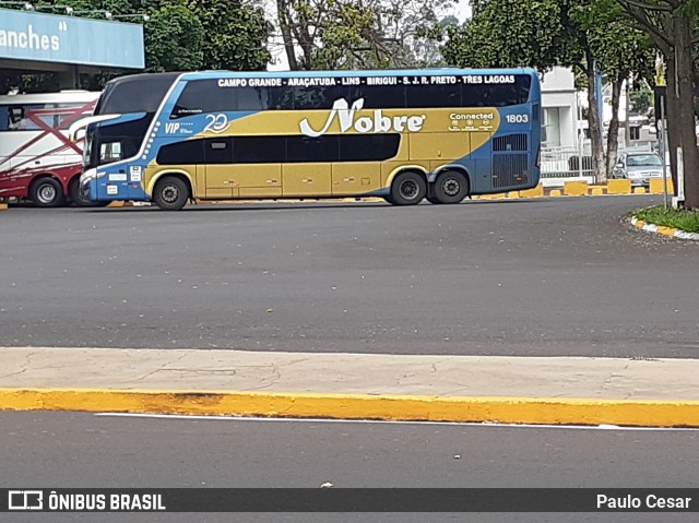 Nobre Transporte Turismo 1803 na cidade de Birigui, São Paulo, Brasil, por Paulo Cesar. ID da foto: 7134412.