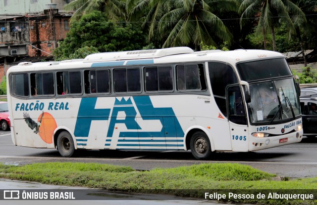 Falcão Real 1005 na cidade de Salvador, Bahia, Brasil, por Felipe Pessoa de Albuquerque. Número da foto: #7137035.
