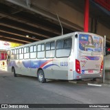 BBTT - Benfica Barueri Transporte e Turismo 1233 na cidade de Itapevi, São Paulo, Brasil, por Michel Nowacki. ID da foto: :id.