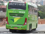 Pássaro Verde 19153 na cidade de Divinópolis, Minas Gerais, Brasil, por Igor Policarpo. Número da foto: #:id.