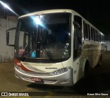 Rouxinol 1295 na cidade de Belo Horizonte, Minas Gerais, Brasil, por Bruno Silva Souza. Número da foto: #:id.