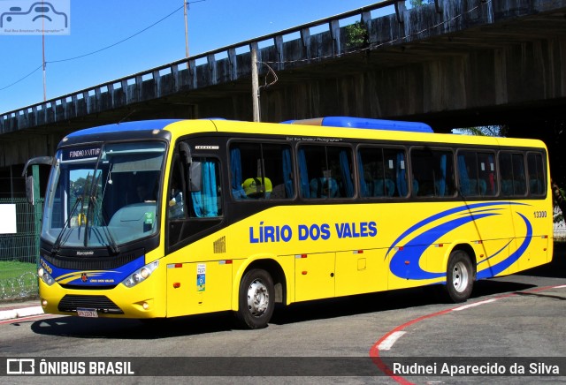 Viação Lírio dos Vales 13300 na cidade de Vitória, Espírito Santo, Brasil, por Rudnei Aparecido da Silva. Número da foto: #7145306.