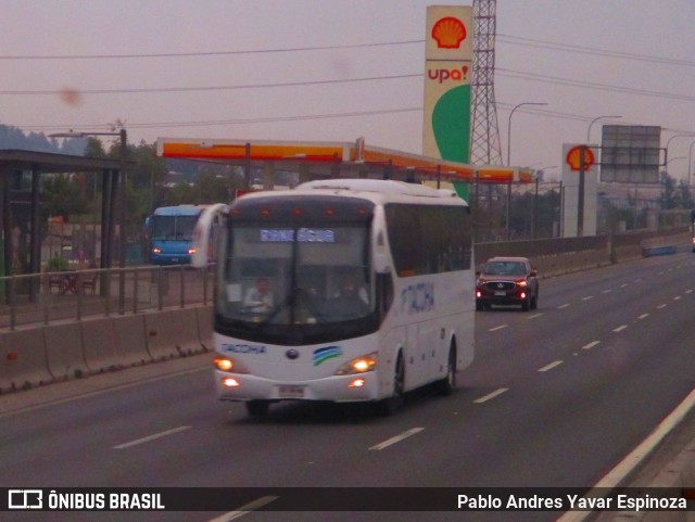 Tacoha  na cidade de Pedro Aguirre Cerda, Santiago, Metropolitana de Santiago, Chile, por Pablo Andres Yavar Espinoza. ID da foto: 7142504.