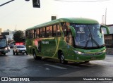 Pássaro Verde 1042 na cidade de Belo Horizonte, Minas Gerais, Brasil, por Vicente de Paulo Alves. Número da foto: #7146902.