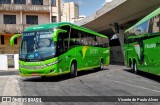 Pássaro Verde 19157 na cidade de Belo Horizonte, Minas Gerais, Brasil, por Vicente de Paulo Alves. Número da foto: #7147194.