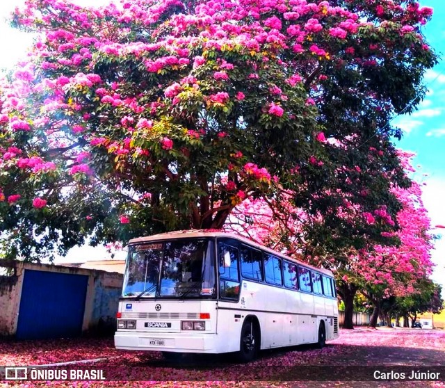 Ônibus Particulares 1880 na cidade de Goiânia, Goiás, Brasil, por Carlos Júnior. ID da foto: 7150622.