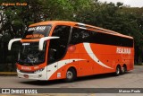 RealMaia Turismo e Cargas 1903 na cidade de São Paulo, São Paulo, Brasil, por Marcus Prado. Número da foto: #7149910.