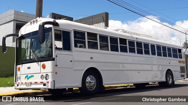 Higapi CB 3295 na cidade de Cartago, Cartago, Costa Rica, por Christopher Gamboa. Número da foto: #7153636.