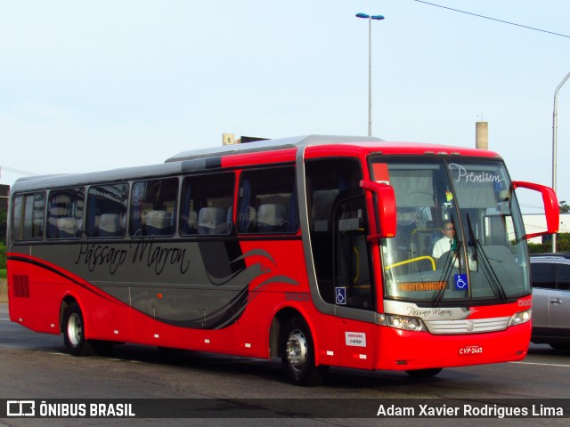 Empresa de Ônibus Pássaro Marron 5605 na cidade de Cubatão, São Paulo, Brasil, por Adam Xavier Rodrigues Lima. ID da foto: 7152039.