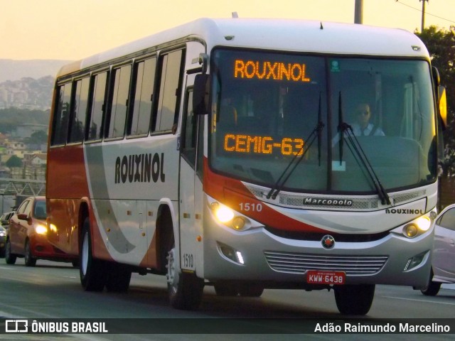 Rouxinol 1510 na cidade de Belo Horizonte, Minas Gerais, Brasil, por Adão Raimundo Marcelino. Número da foto: #7156027.