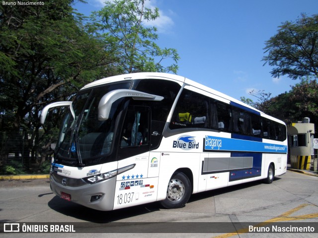 Auto Viação Bragança 18.037 na cidade de São Paulo, São Paulo, Brasil, por Bruno Nascimento. ID da foto: 7154039.