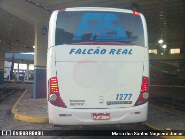 Falcão Real 1277 na cidade de Salvador, Bahia, Brasil, por Mario dos Santos Nogueira Junior. Número da foto: #7156996.