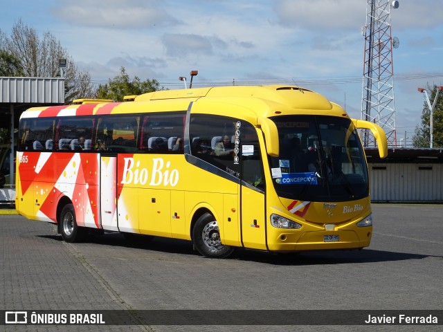 Buses Bio Bio 365 na cidade de Chillán, Ñuble, Bío-Bío, Chile, por Javier Ferrada. ID da foto: 7108669.