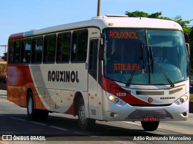 Rouxinol 1520 na cidade de Belo Horizonte, Minas Gerais, Brasil, por Adão Raimundo Marcelino. Número da foto: #7110995.