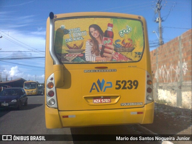 AVP - Auto Viação Paraíso 5239 na cidade de Aracaju, Sergipe, Brasil, por Mario dos Santos Nogueira Junior. Número da foto: #7108477.