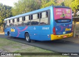 Rápido Expresso Fênix Viação 25162 na cidade de Mogi Guaçu, São Paulo, Brasil, por Cleber C.  Moreira. Número da foto: #7110840.