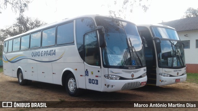 Viação Ouro e Prata 803 na cidade de Alegrete, Rio Grande do Sul, Brasil, por Marco Antônio Martins Dias. Número da foto: #7162796.