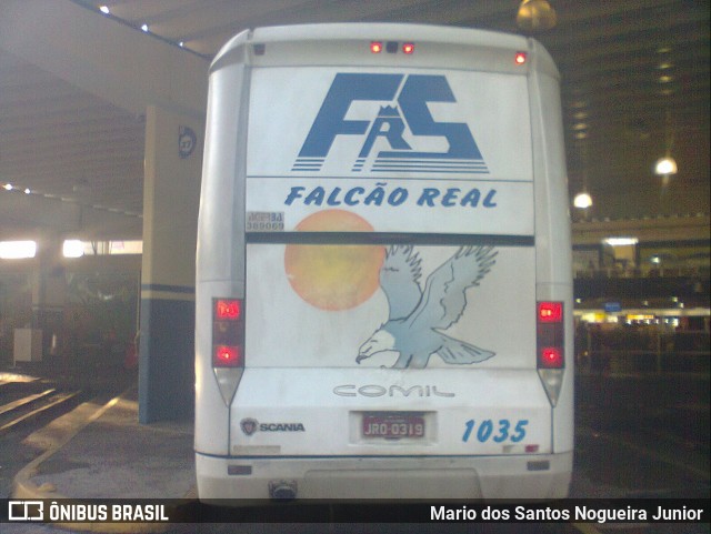Falcão Real 1035 na cidade de Salvador, Bahia, Brasil, por Mario dos Santos Nogueira Junior. Número da foto: #7161556.