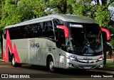 Expresso Maringá 6503 na cidade de Arapongas, Paraná, Brasil, por Pedroka Ternoski. Número da foto: #:id.