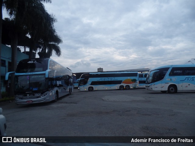 Transportadora Turística Natal 3800 na cidade de Mogi das Cruzes, São Paulo, Brasil, por Ademir Francisco de Freitas. Número da foto: #7167466.