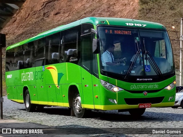 Pássaro Verde 19167 na cidade de Ouro Preto, Minas Gerais, Brasil, por Daniel Gomes. Número da foto: #7170030.