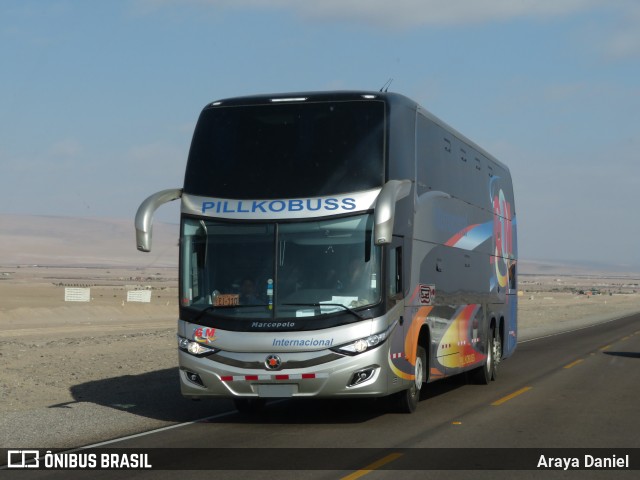 Pillkobuss  na cidade de Tacna, Tacna, Tacna, Peru, por Araya Daniel . ID da foto: 7176744.