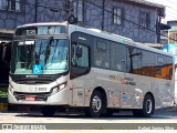 Transwolff Transportes e Turismo 7 8005 na cidade de São Paulo, São Paulo, Brasil, por Rafael Santos Silva. Número da foto: #:id.