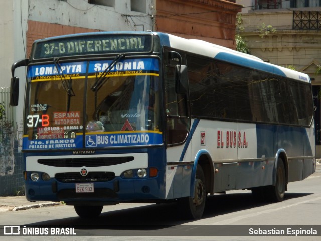 Linea 37-B El Bus S.A 27 na cidade de Asunción, Paraguai, por Sebastian Espinola. Número da foto: #7180209.