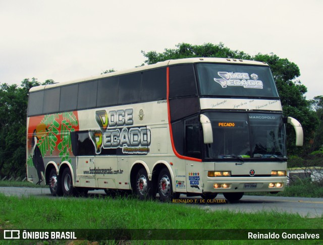 Banda Doce Pecado 2008 na cidade de Indaial, Santa Catarina, Brasil, por Reinaldo Gonçalves. Número da foto: #7180468.