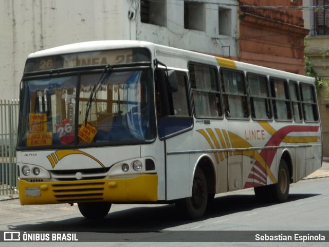 Lince 26 na cidade de Asunción, Paraguai, por Sebastian Espinola. Número da foto: #7180200.