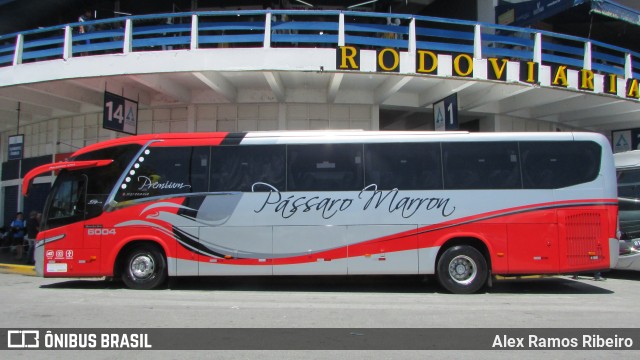 Empresa de Ônibus Pássaro Marron 6004 na cidade de Aparecida, São Paulo, Brasil, por Alex Ramos Ribeiro. Número da foto: #7182308.