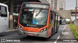 TRANSPPASS - Transporte de Passageiros 8 1310 na cidade de São Paulo, São Paulo, Brasil, por Roberto Teixeira. Número da foto: #:id.
