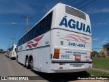 Águia 1603 na cidade de Porto Alegre, Rio Grande do Sul, Brasil, por Mauricio Peres Rodrigues. Número da foto: #:id.