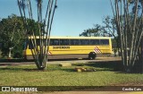 Viação Itapemirim 25017 na cidade de Campos dos Goytacazes, Rio de Janeiro, Brasil, por Cecilio Cais. Número da foto: #7180289.