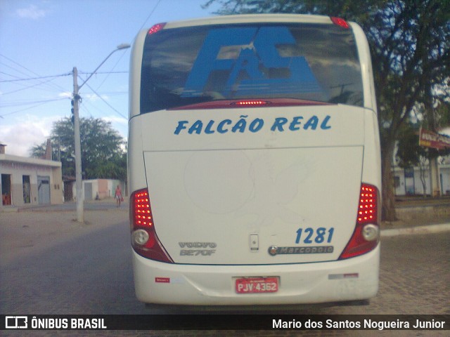 Falcão Real 1281 na cidade de Piritiba, Bahia, Brasil, por Mario dos Santos Nogueira Junior. Número da foto: #7183034.