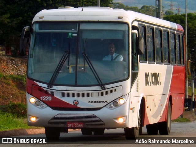 Rouxinol 1220 na cidade de Belo Horizonte, Minas Gerais, Brasil, por Adão Raimundo Marcelino. Número da foto: #7185175.
