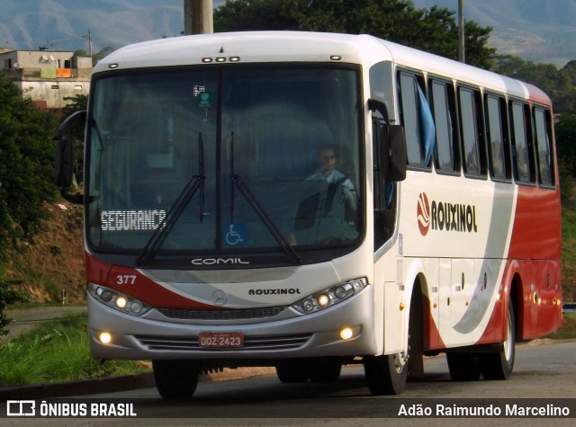 Rouxinol 377 na cidade de Belo Horizonte, Minas Gerais, Brasil, por Adão Raimundo Marcelino. Número da foto: #7185181.