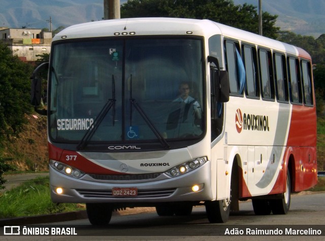 Rouxinol 377 na cidade de Belo Horizonte, Minas Gerais, Brasil, por Adão Raimundo Marcelino. ID da foto: 7185181.