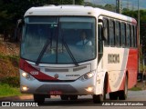 Rouxinol 1220 na cidade de Belo Horizonte, Minas Gerais, Brasil, por Adão Raimundo Marcelino. Número da foto: #7185175.