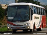 Rouxinol 377 na cidade de Belo Horizonte, Minas Gerais, Brasil, por Adão Raimundo Marcelino. Número da foto: #7185181.