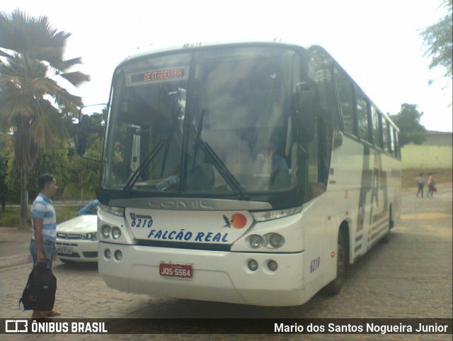 Falcão Real 6210 na cidade de Piritiba, Bahia, Brasil, por Mario dos Santos Nogueira Junior. Número da foto: #7187502.