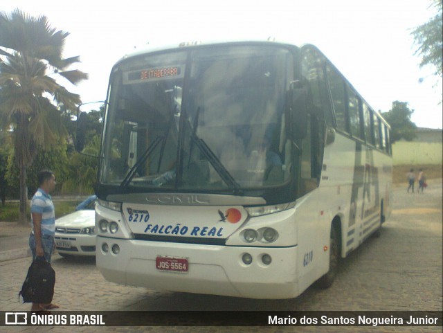 Falcão Real 6210 na cidade de Piritiba, Bahia, Brasil, por Mario dos Santos Nogueira Junior. ID da foto: 7187502.