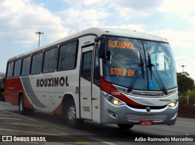 Rouxinol 1505 na cidade de Belo Horizonte, Minas Gerais, Brasil, por Adão Raimundo Marcelino. Número da foto: #7113835.