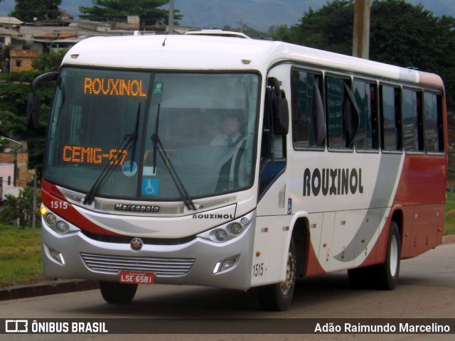Rouxinol 1515 na cidade de Belo Horizonte, Minas Gerais, Brasil, por Adão Raimundo Marcelino. Número da foto: #7189841.