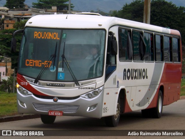 Rouxinol 1515 na cidade de Belo Horizonte, Minas Gerais, Brasil, por Adão Raimundo Marcelino. ID da foto: 7189841.