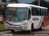 Rouxinol 1515 na cidade de Belo Horizonte, Minas Gerais, Brasil, por Adão Raimundo Marcelino. Número da foto: #7189841.